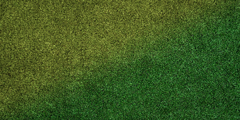 Wetting Agent